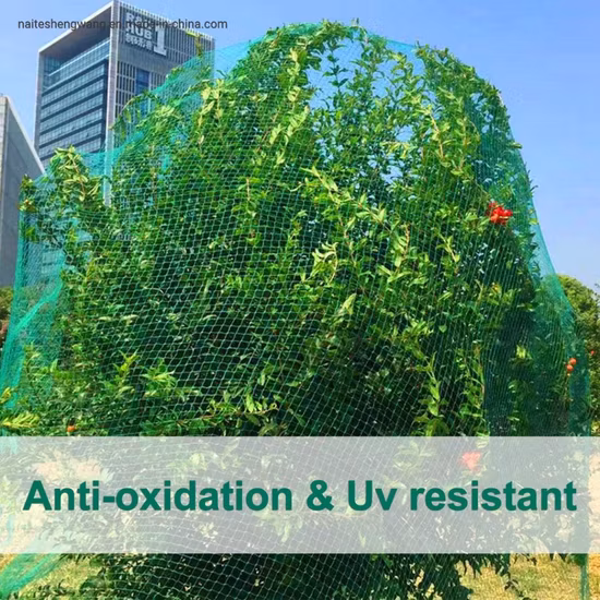 Filet de jardin avec maille carrée de 6,1 cm pour protéger les arbres fruitiers, les plantes et les légumes des volailles, des cerfs et des parasites. Filet anti-oiseaux robuste.