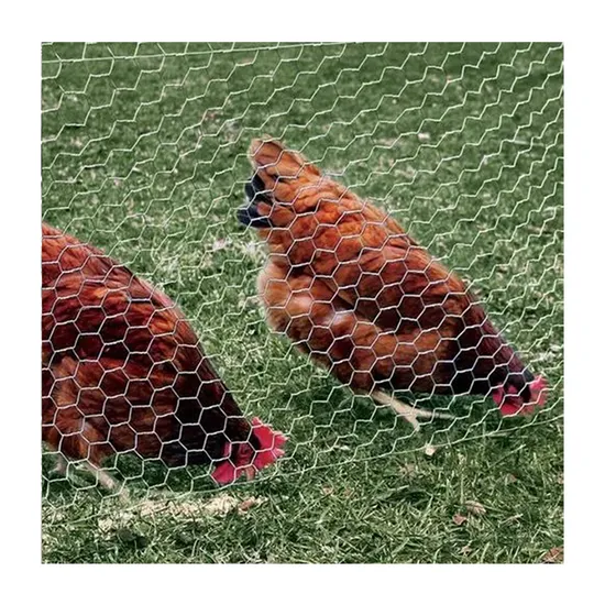 Filet métallique hexagonal de poulet pour clôture de fermes avicoles